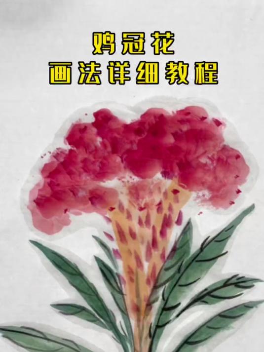 鸡冠花画法详细教程 国画 国画教学