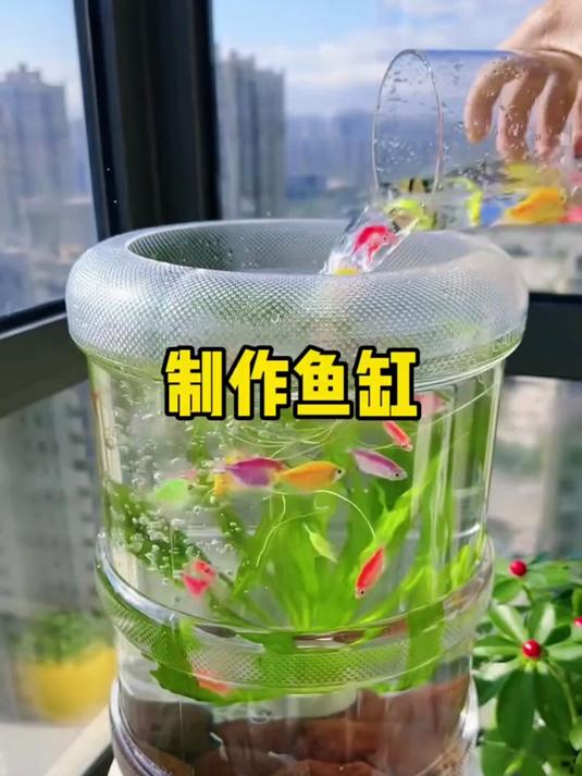 在家也能制作漂亮的鱼缸