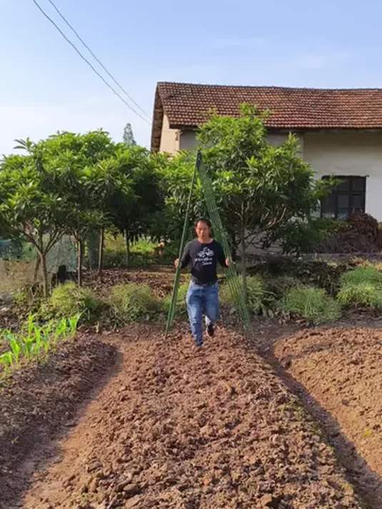 专门为种菜朋友设计的,蔬菜爬藤架