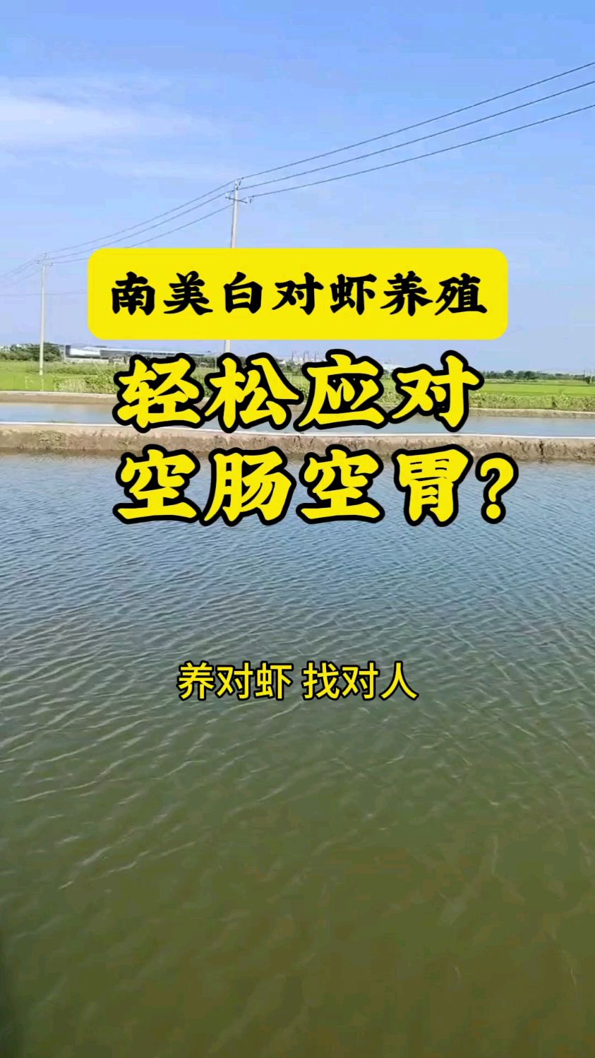 养虾怎样轻松应对空肠空胃?