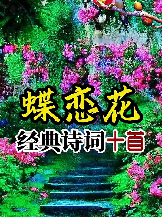 诵读蝶恋花经典诗词十首:蝶恋花·春景,蝶恋花·伫倚危楼风