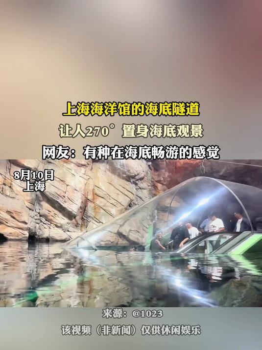 上海海洋馆的海底隧道让人270°置身海底观景