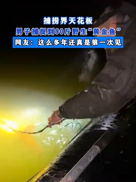 捕捞界天花板,男子捕捉到90斤野生“黄金鱼”,网友:这么多年还真是第一次见