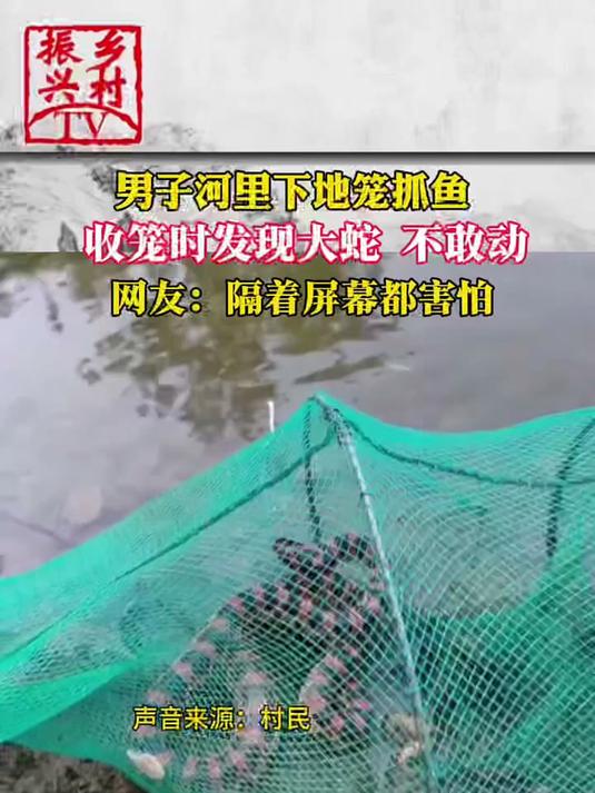 新型地笼捕鱼设计，材质和功能都有创新，多口进鱼口，高效捕鱼