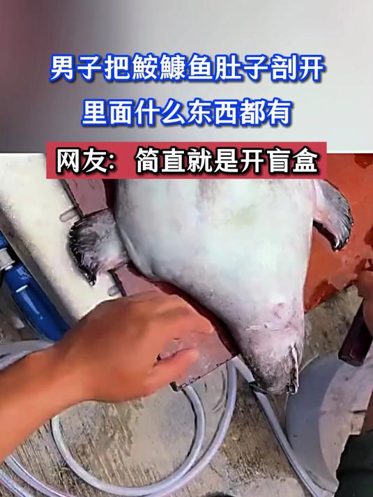 男子把鮟鱇鱼肚子部开，里面什么东西都有，网友：简直就是开盲盒