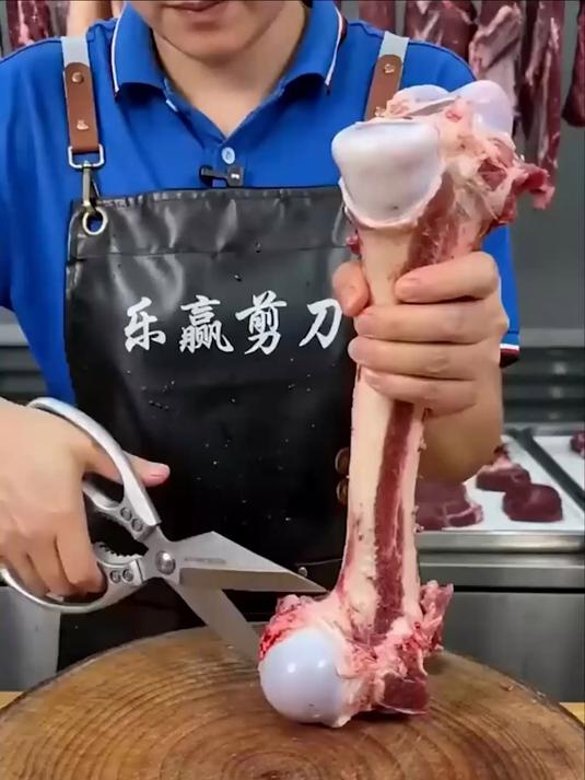 普通剪刀剪不动骨头？乡下老黄鸡实拍，咔咔几下整鸡分解，鸡鸭鱼虾全搞定#鸡骨剪##鸡骨剪刀#