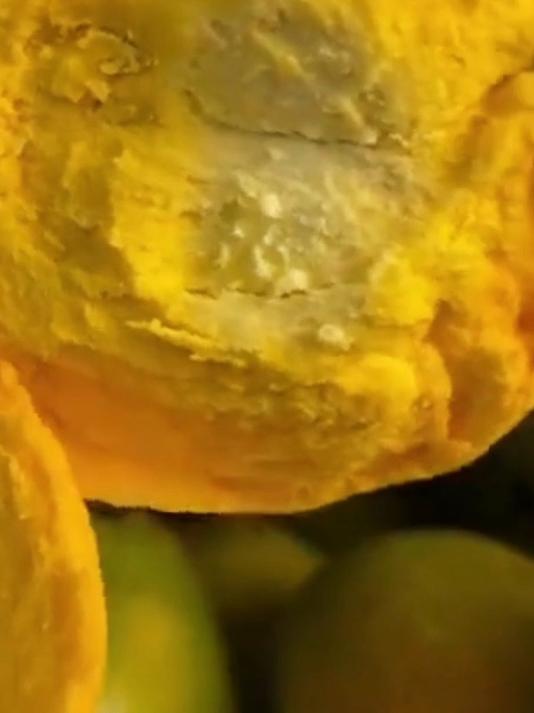 懒人福音！鸡蛋果这么吃，一口就爱上的绵密快乐