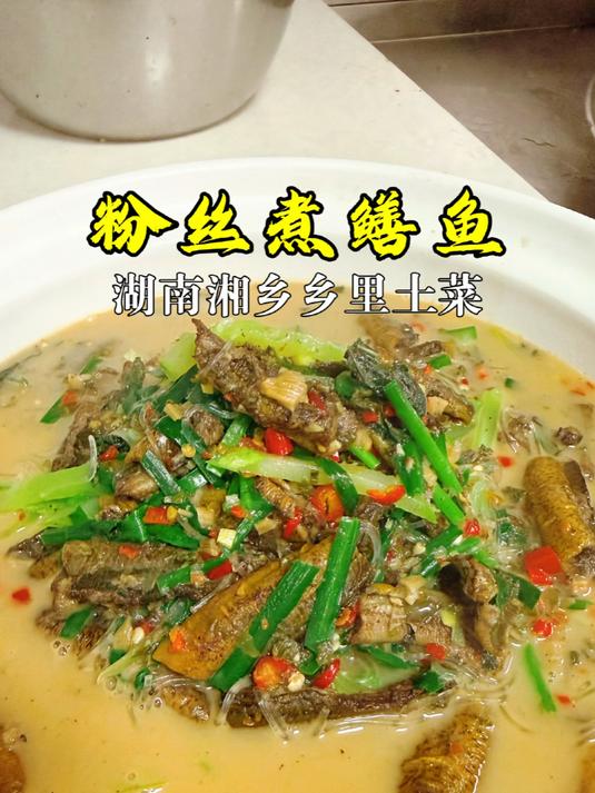 湖南湘潭湘乡名菜粉丝煮鳝鱼,汤鲜味美,做法就这么简单#鳝鱼##湘潭菜##湘乡#