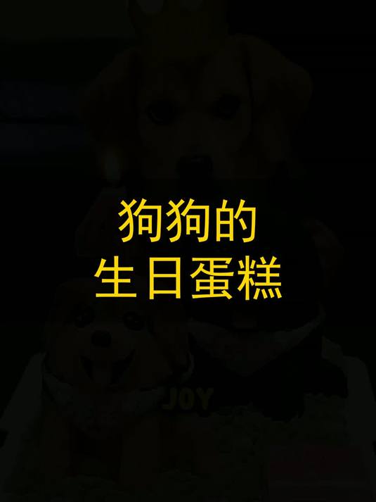 狗狗的生日蛋糕！
