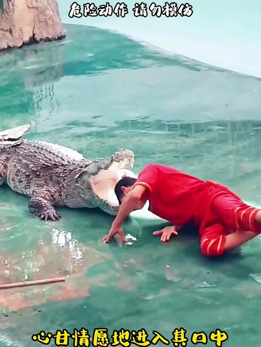 鳄鱼为什么老是张嘴不动，值得一看