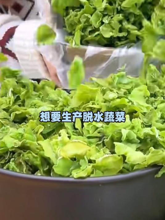 脱水蔬菜加工设备贡菜蔬菜烘干脱水机蔬菜烘干生产线药材烘干设备