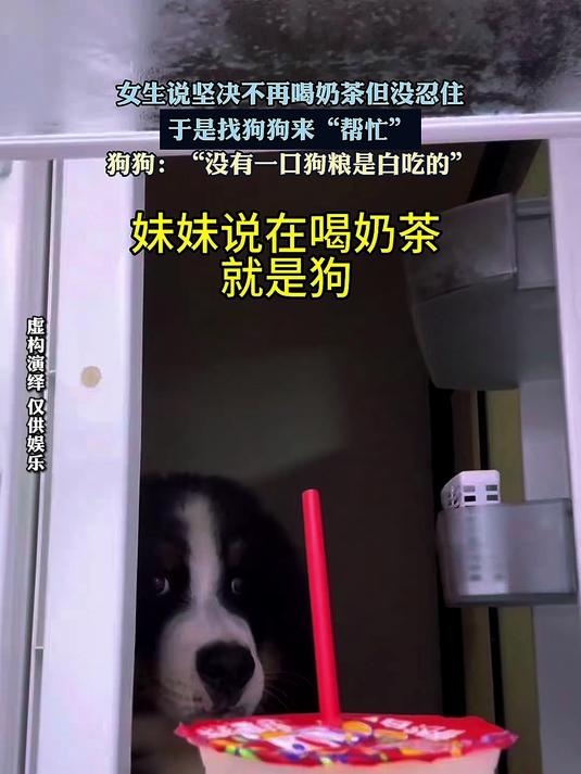 女生说坚决不再喝奶茶但没忍住，于是找狗狗来“帮忙”