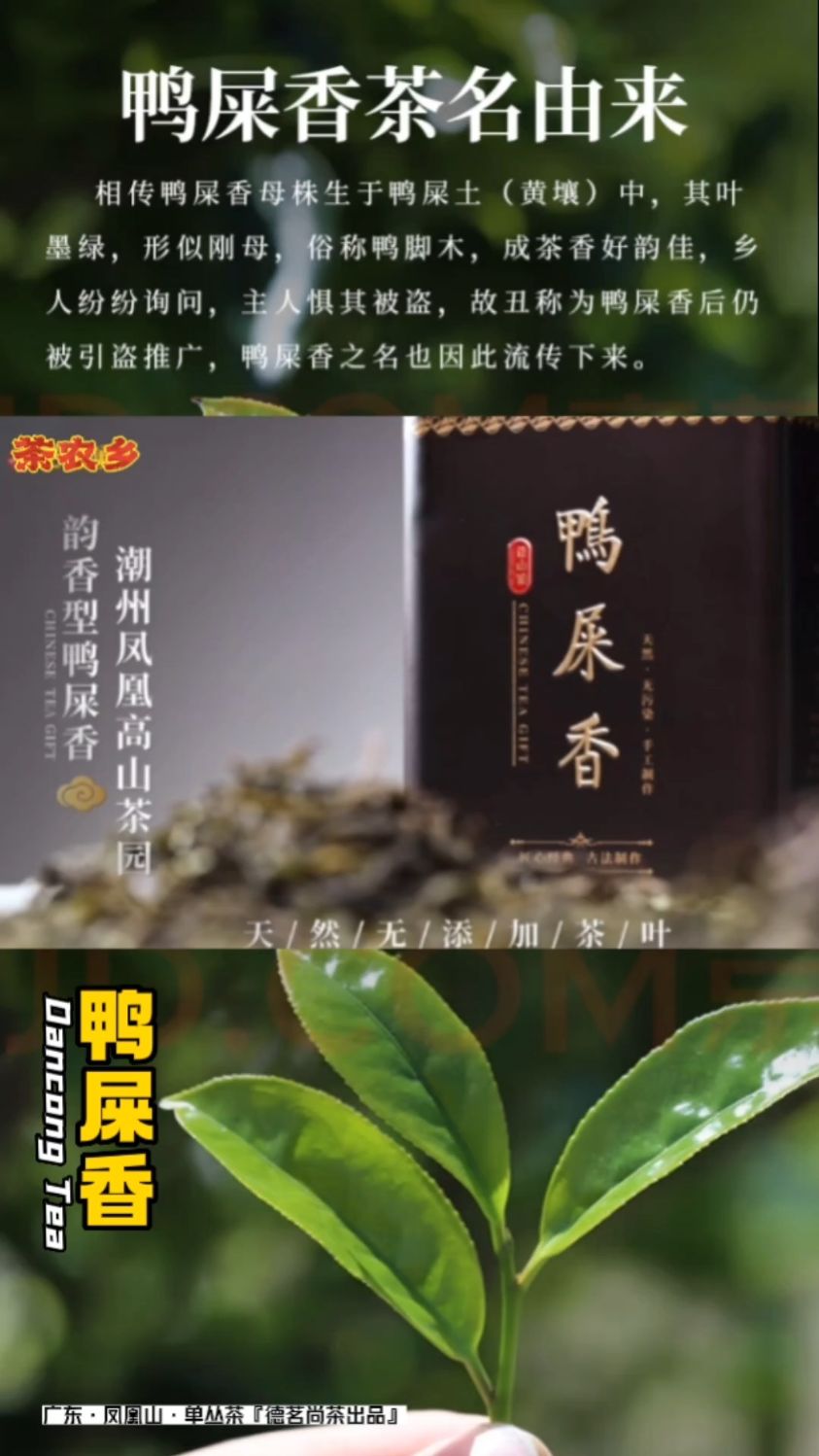 生命如同一棵树,需要阳光雨露的滋润与浇灌,才能茁壮成长。 茶农乡 韵香型鸭屎香