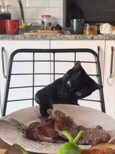 3DM����һ�̵�1654�� ��С�����е㶫������