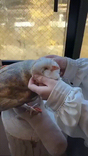 3DM����һ�̵�1654�� ��С�����е㶫������