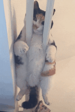 3DM����һ�̵�1654�� ��С�����е㶫������