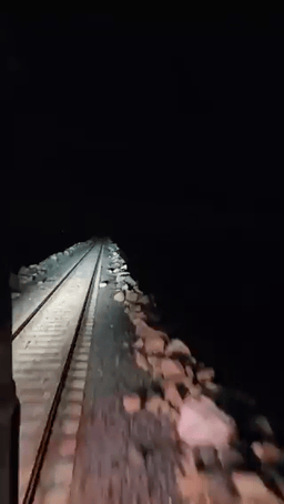 3DM����һ�̵�1654�� ��С�����е㶫������