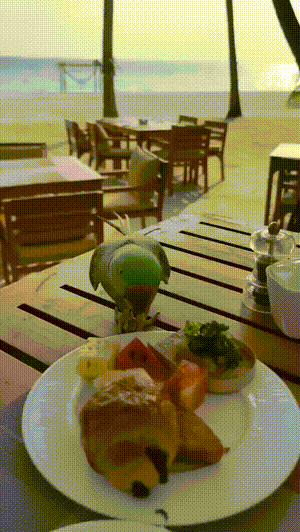 3DM����һ�̵�1657�� ��˿����Ů��̤��������