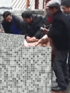 3DM����һ�̵�1657�� ��˿����Ů��̤��������