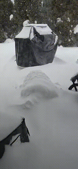 3DM����һ�̵�1657�� ��˿����Ů��̤��������