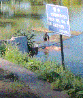 3DM����һ�̵�1657�� ��˿����Ů��̤��������