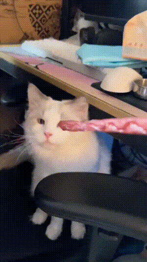 3DM����һ�̵�1657�� ��˿����Ů��̤��������