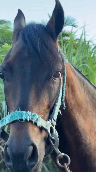 3DM����һ�̵�1656�� ��Ů��ô����Ұ�����ࣿ