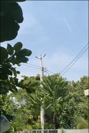 3DM����һ�̵�1657�� ��˿����Ů��̤��������