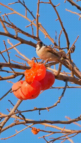 3DM����һ�̵�1657�� ��˿����Ů��̤��������