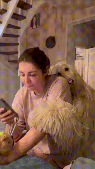 3DM����һ�̵�1657�� ��˿����Ů��̤��������