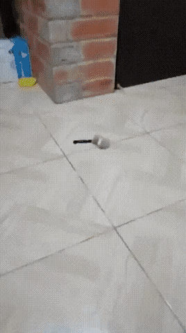 3DM����һ�̵�1657�� ��˿����Ů��̤��������