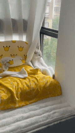 3DM����һ�̵�1656�� ��Ů��ô����Ұ�����ࣿ