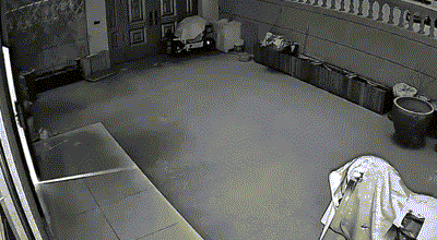 3DM����һ�̵�1657�� ��˿����Ů��̤��������