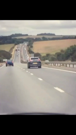 3DM����һ�̵�1685�� �����������Ů����ˮ��