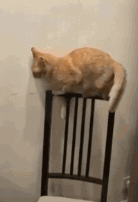 3DM����һ�̵�1685�� �����������Ů����ˮ��