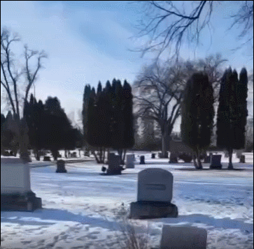 3DM����һ�̵�1685�� �����������Ů����ˮ��