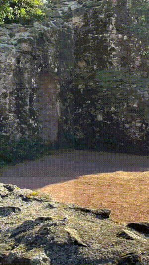 3DM����һ�̵�1685�� �����������Ů����ˮ��