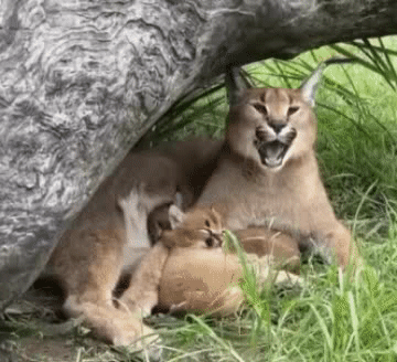 3DM����һ�̵�1685�� �����������Ů����ˮ��