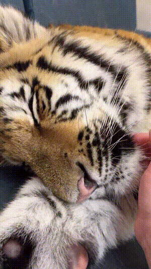 3DM����һ�̵�1685�� �����������Ů����ˮ��