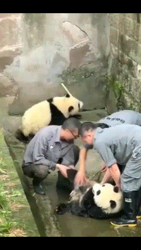 3DM����һ�̵�1685�� �����������Ů����ˮ��