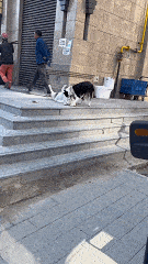 3DM����һ�̵�1693�� Ů��ϲ����ļ�����ʾ��