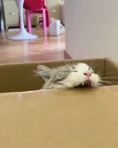 3DM����һ�̵�1693�� Ů��ϲ����ļ�����ʾ��