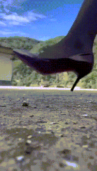 3DM����һ�̵�1693�� Ů��ϲ����ļ�����ʾ��