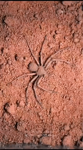 3DM����һ�̵�1693�� Ů��ϲ����ļ�����ʾ��