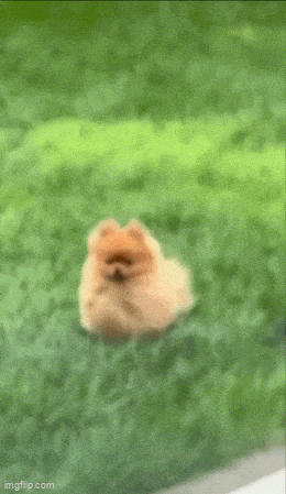 3DM����һ�̵�1693�� Ů��ϲ����ļ�����ʾ��