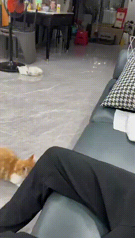 3DM����һ�̵�1693�� Ů��ϲ����ļ�����ʾ��