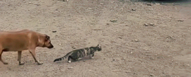 3DM����һ�̵�1693�� Ů��ϲ����ļ�����ʾ��