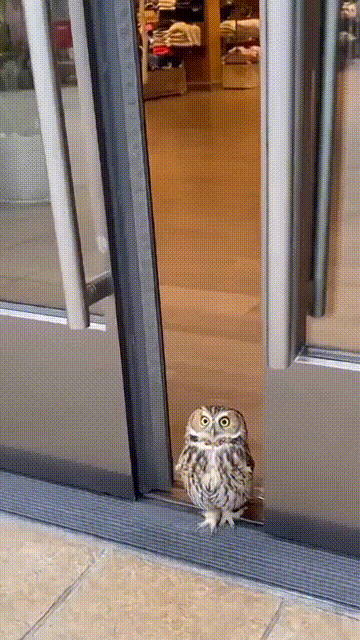 3DM����һ�̵�1693�� Ů��ϲ����ļ�����ʾ��