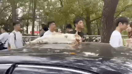 3DM����һ�̵�1693�� Ů��ϲ����ļ�����ʾ��