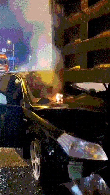 3DM����һ�̵�1694�� ���º�˿��Ů�������㣡